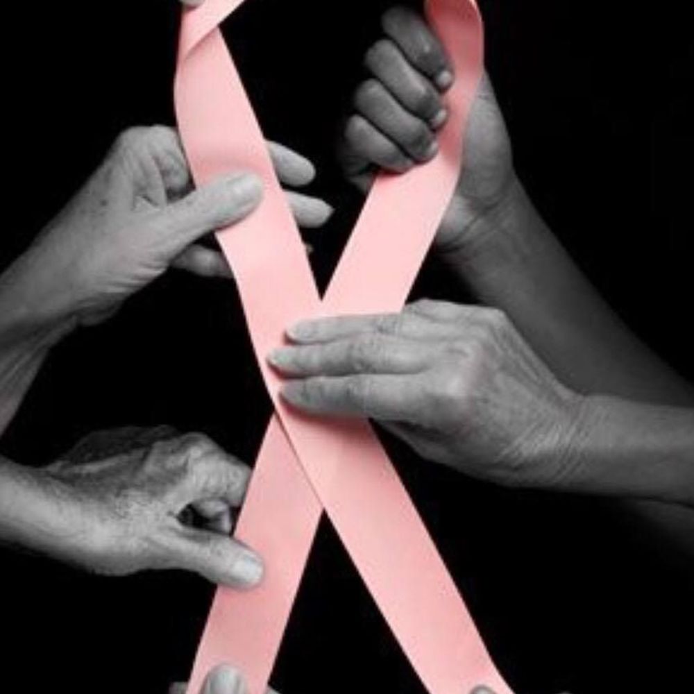 Meet your Posher, Audrey